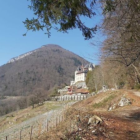 Charmant Appartement Lac D'Annecy / Ski - 6 Pers เมนตง-ซองต์-แบร์นา ภายนอก รูปภาพ